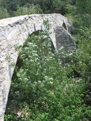 pont cammaous